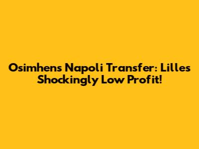 Osimhen's Napoli Transfer: Lille's Shockingly Low Profit!