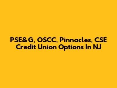 PSE&G, OSCC, Pinnacles, CSE Credit Union Options In NJ