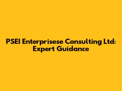 PSEI Enterprisese Consulting Ltd: Expert Guidance