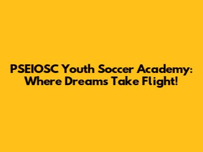 PSEIOSC Youth Soccer Academy: Where Dreams Take Flight!
