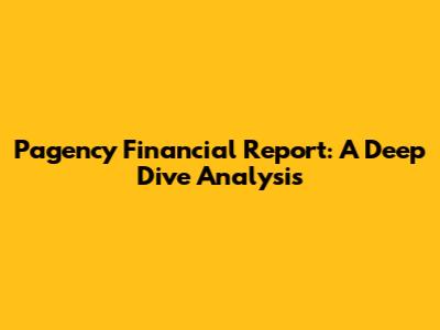 Pagency Financial Report: A Deep Dive Analysis