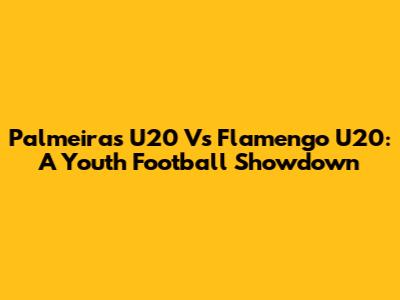 Palmeiras U20 Vs Flamengo U20: A Youth Football Showdown