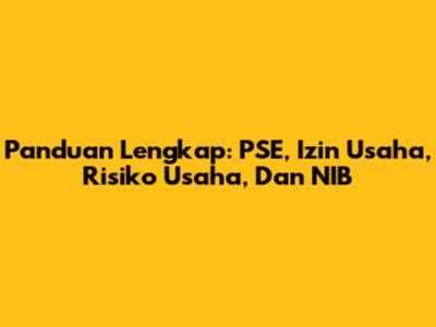 Panduan Lengkap: PSE, Izin Usaha, Risiko Usaha, Dan NIB