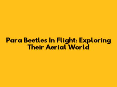 Para Beetles In Flight: Exploring Their Aerial World