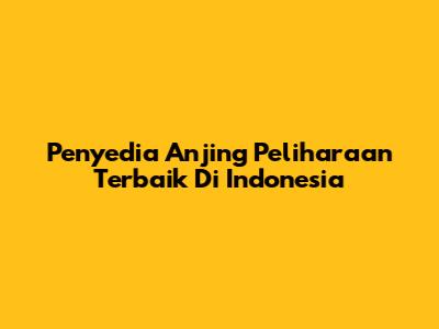 Penyedia Anjing Peliharaan Terbaik Di Indonesia