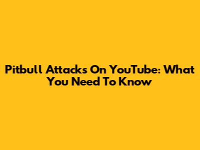 Pitbull Attacks On YouTube: What You Need To Know