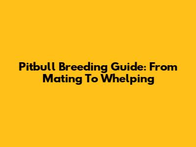 Pitbull Breeding Guide: From Mating To Whelping