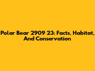 Polar Bear 2909 23: Facts, Habitat, And Conservation