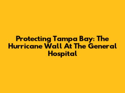 Protecting Tampa Bay: The Hurricane Wall At The General Hospital