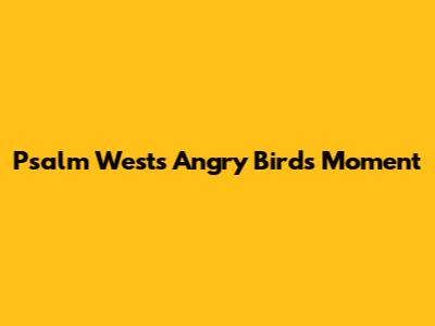 Psalm West's Angry Birds Moment