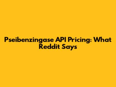 Pseibenzingase API Pricing: What Reddit Says