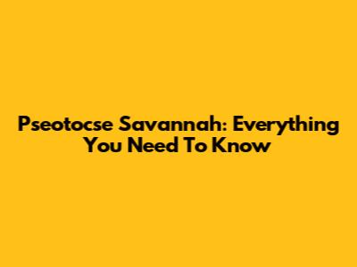 Pseotocse Savannah: Everything You Need To Know