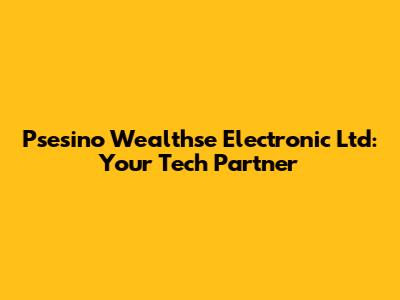 Psesino Wealthse Electronic Ltd: Your Tech Partner