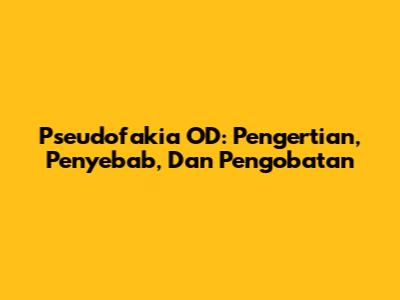 Pseudofakia OD: Pengertian, Penyebab, Dan Pengobatan