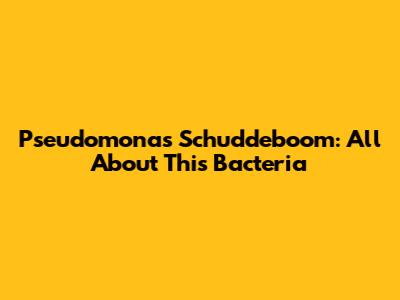 Pseudomonas Schuddeboom: All About This Bacteria