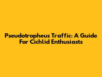 Pseudotropheus Traffic: A Guide For Cichlid Enthusiasts