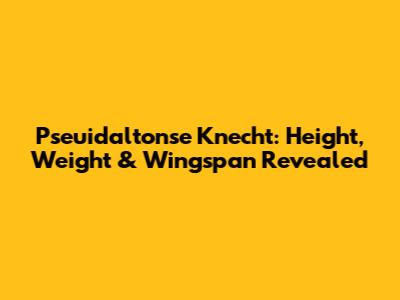 Pseuidaltonse Knecht: Height, Weight & Wingspan Revealed