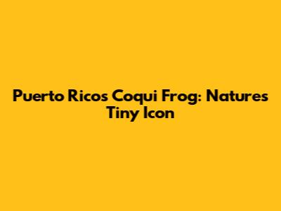 Puerto Rico's Coqui Frog: Nature's Tiny Icon