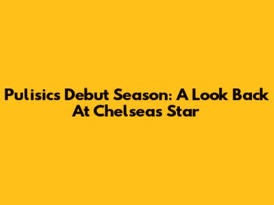 Pulisic's Debut Season: A Look Back At Chelsea's Star