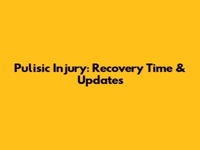 Pulisic Injury: Recovery Time & Updates
