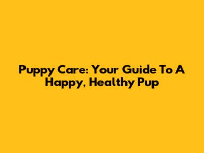 Puppy Care: Your Guide To A Happy, Healthy Pup