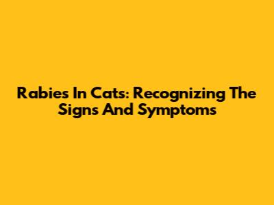 Rabies In Cats: Recognizing The Signs And Symptoms