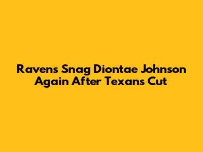Ravens Snag Diontae Johnson Again After Texans Cut