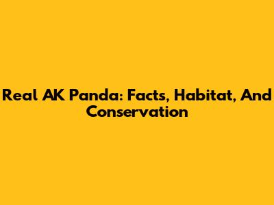 Real AK Panda: Facts, Habitat, And Conservation