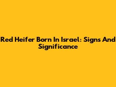 Red Heifer Born In Israel: Signs And Significance