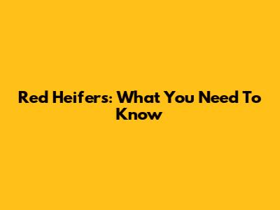 Red Heifers: What You Need To Know