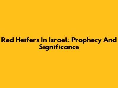 Red Heifers In Israel: Prophecy And Significance