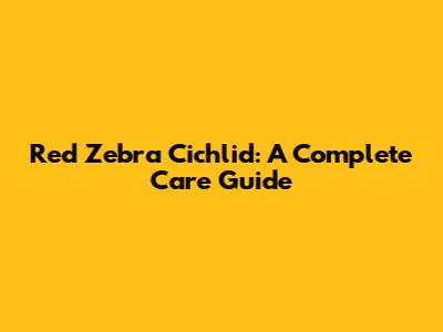 Red Zebra Cichlid: A Complete Care Guide