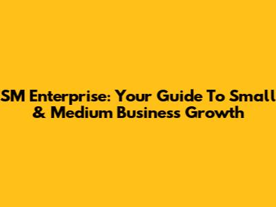 SM Enterprise: Your Guide To Small & Medium Business Growth