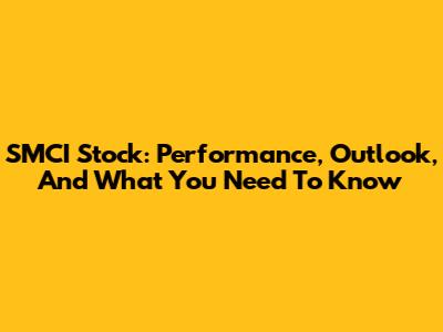 SMCI Stock: Performance, Outlook, And What You Need To Know