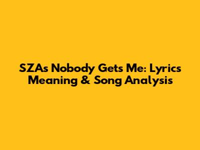 SZA's Nobody Gets Me: Lyrics Meaning & Song Analysis