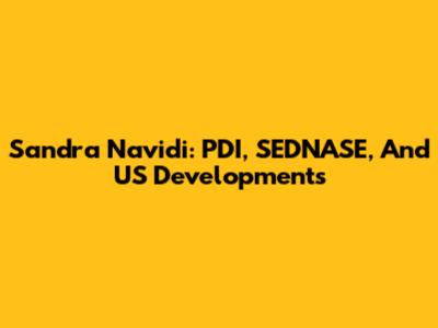 Sandra Navidi: PDI, SEDNASE, And US Developments