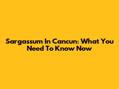 Sargassum In Cancun: What You Need To Know Now