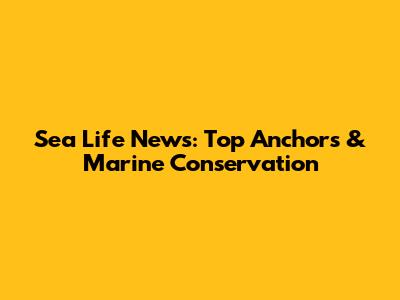 Sea Life News: Top Anchors & Marine Conservation