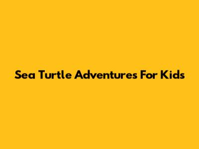 Sea Turtle Adventures For Kids