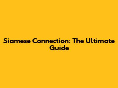 Siamese Connection: The Ultimate Guide