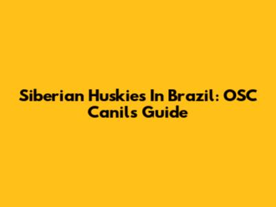 Siberian Huskies In Brazil: OSC Canil's Guide