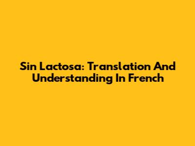 Sin Lactosa: Translation And Understanding In French