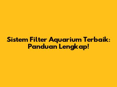 Sistem Filter Aquarium Terbaik: Panduan Lengkap!