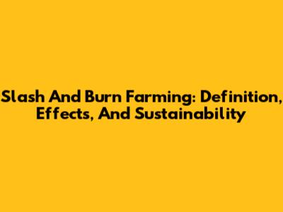 Slash And Burn Farming: Definition, Effects, And Sustainability