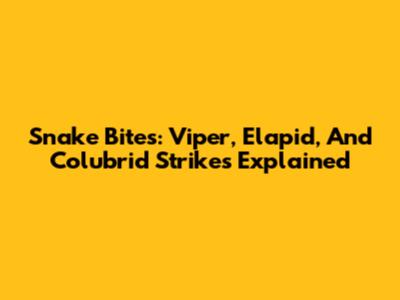 Snake Bites: Viper, Elapid, And Colubrid Strikes Explained