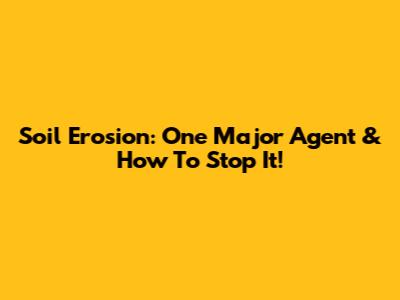 Soil Erosion: One Major Agent & How To Stop It!