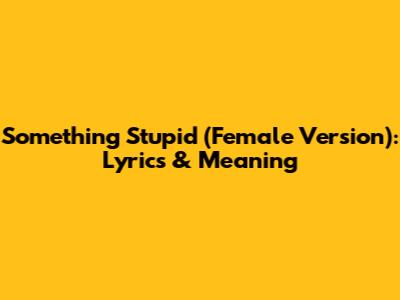 Something Stupid (Female Version): Lyrics & Meaning