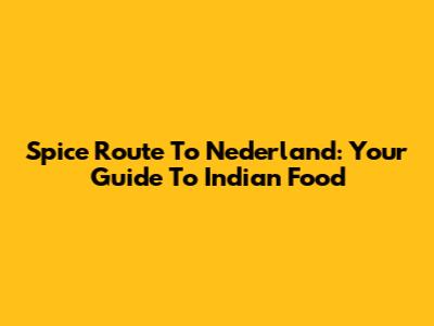 Spice Route To Nederland: Your Guide To Indian Food