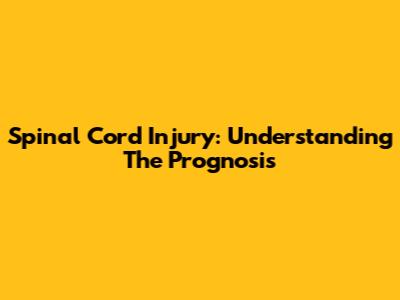 Spinal Cord Injury: Understanding The Prognosis