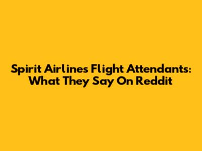 Spirit Airlines Flight Attendants: What They Say On Reddit